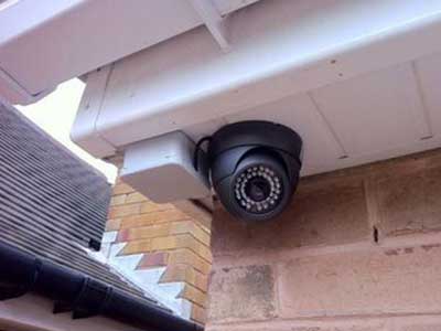 IP Cameras