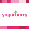 Yogurt Berry Yogurt Berry
