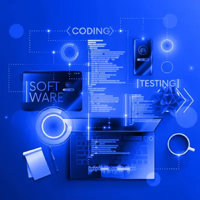 Website development