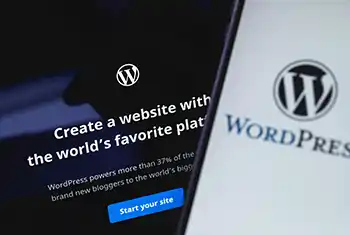 wordpress website development